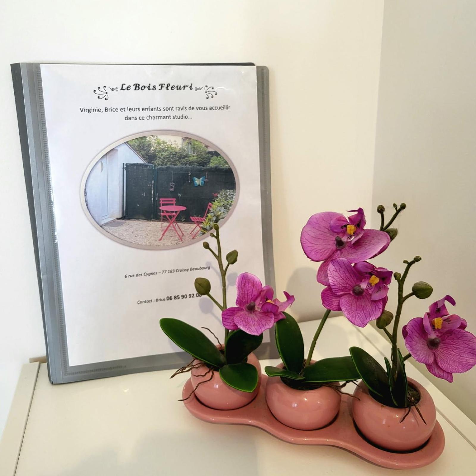 Maison Studio Le Bois Fleuri Croissy-Beaubourg Bagian luar foto